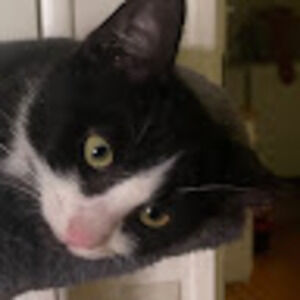 Meet your Posher, Hk